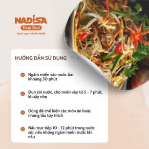 hdsd-mien-dong-nadisa-tv