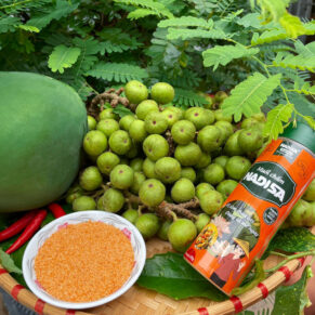 nadisa-spicy-sour-dipping-salt