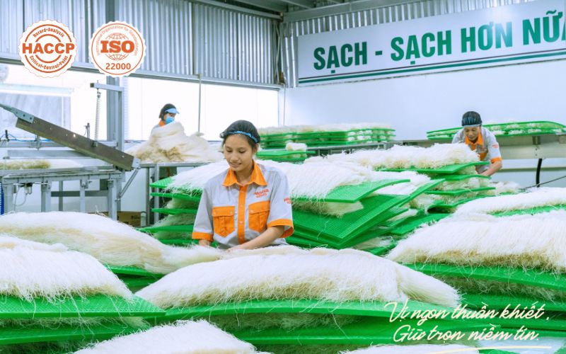 quy trình sản xuất bánh phở khô